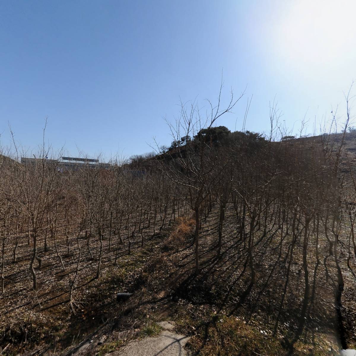 광산김씨 도남공파 옥천재 종중_3