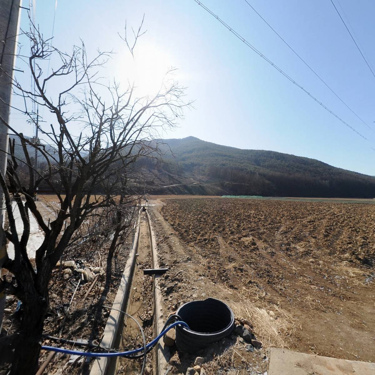 가은표고버섯_3