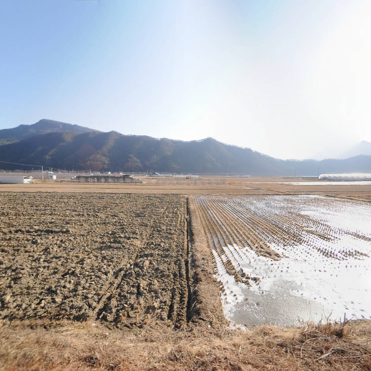 짠지 협동조합