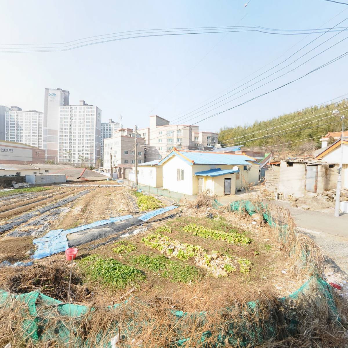 극단예도
