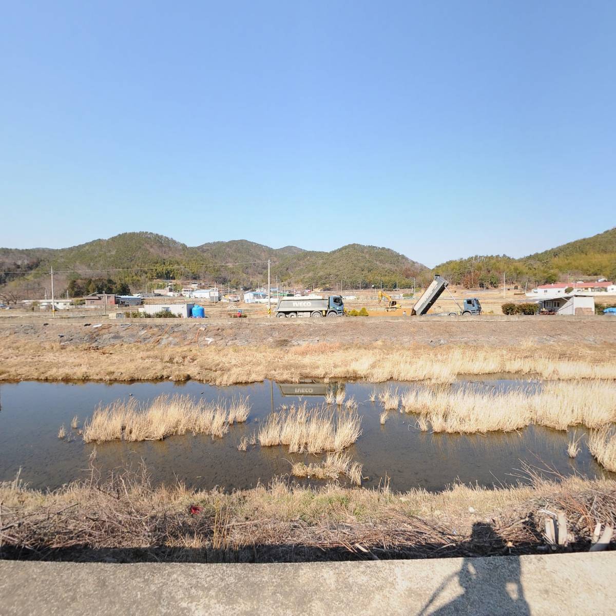총각네이사