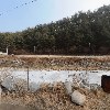 애니카랜드신태백점(신흥공업사)