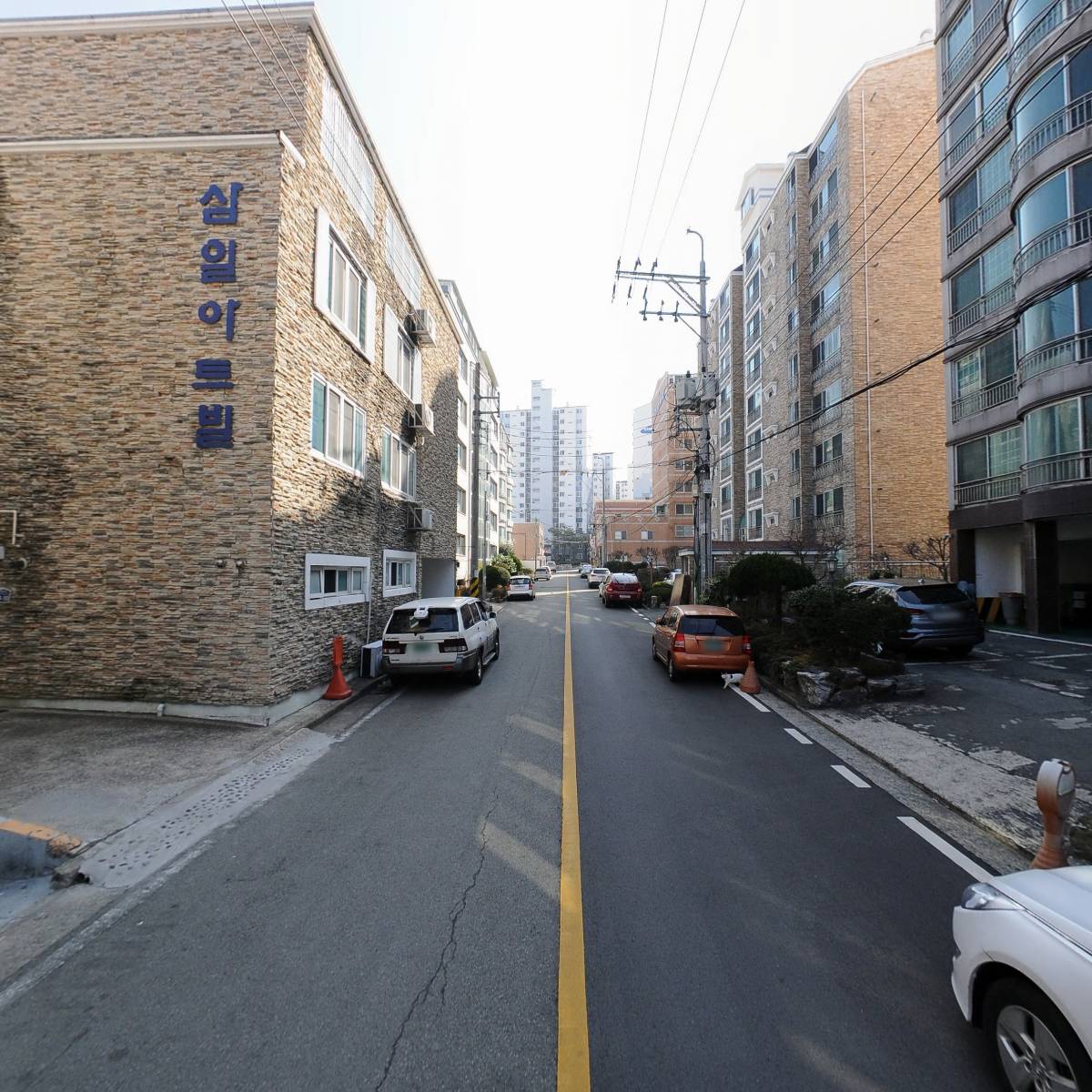 (주)라이피스_2