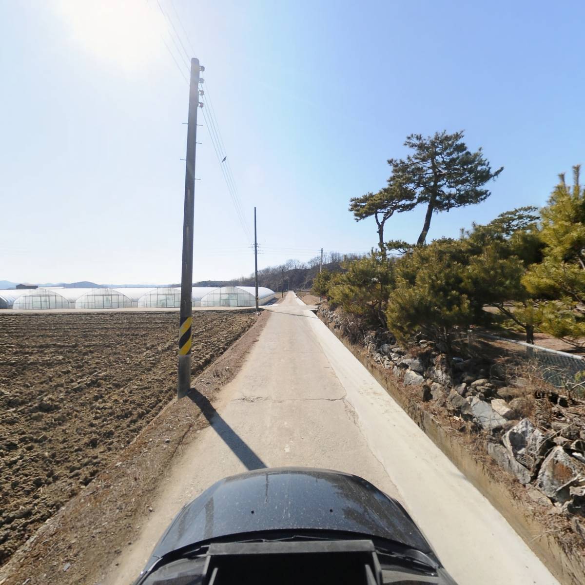 문경약돌돼지_4