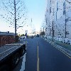 더지펠리체 웨딩_2