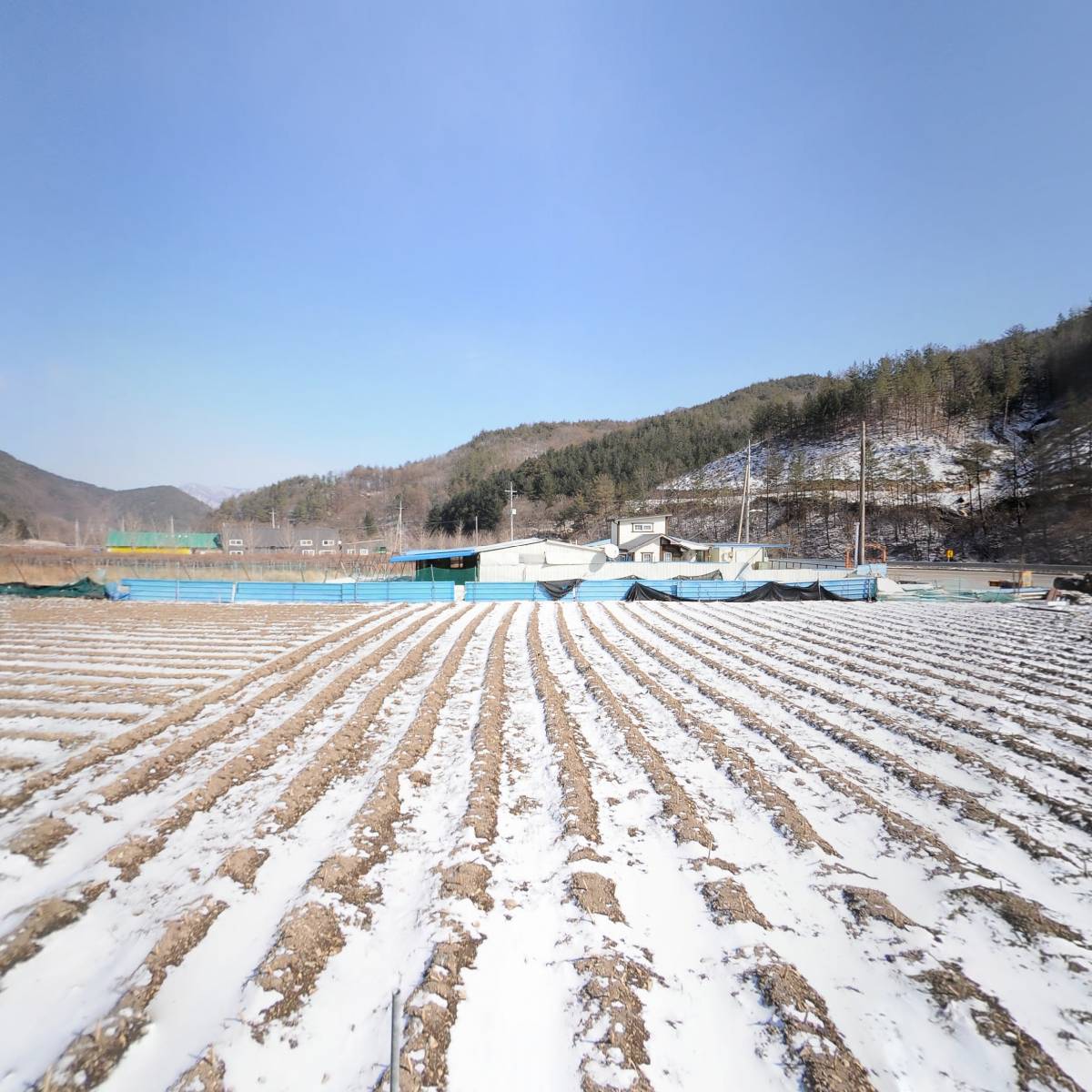 농업회사법인 주식회사 김앤김 (KIM & KIM Family Farm)