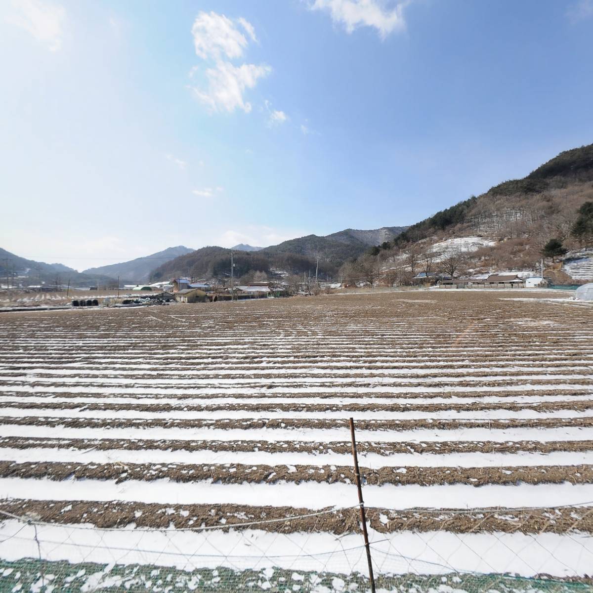 농업회사법인 주식회사 김앤김 (KIM & KIM Family Farm)_3