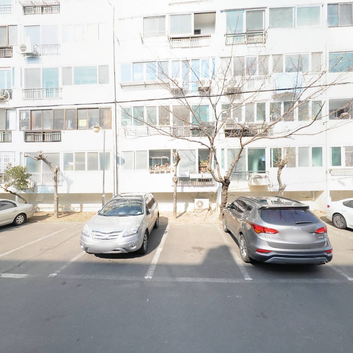 아디다스 진영점_3