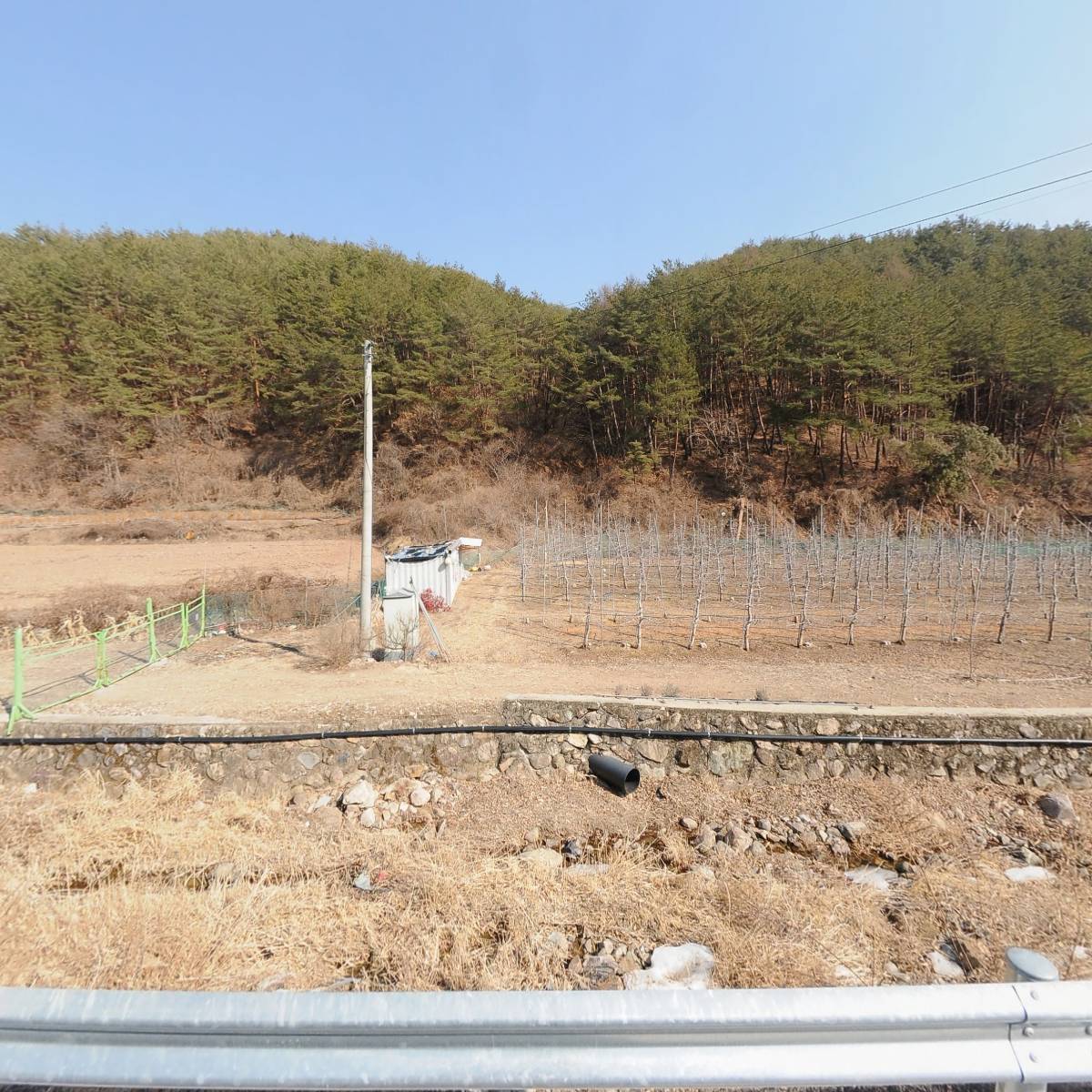봉화볼빨간사과