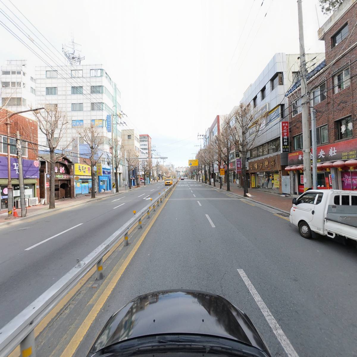 여왕벌_4