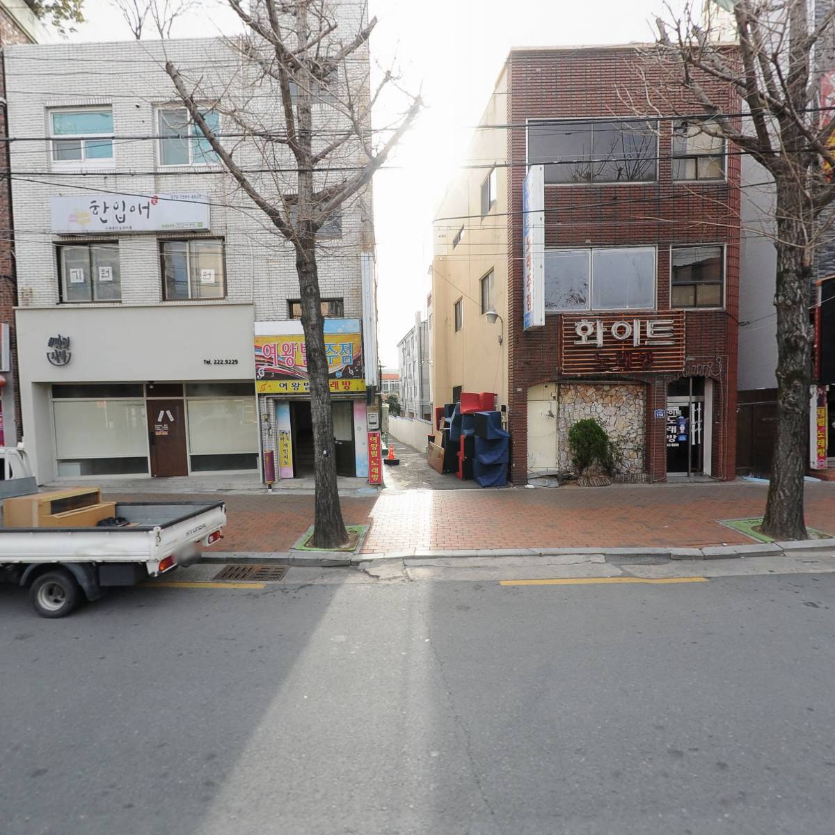 여왕벌