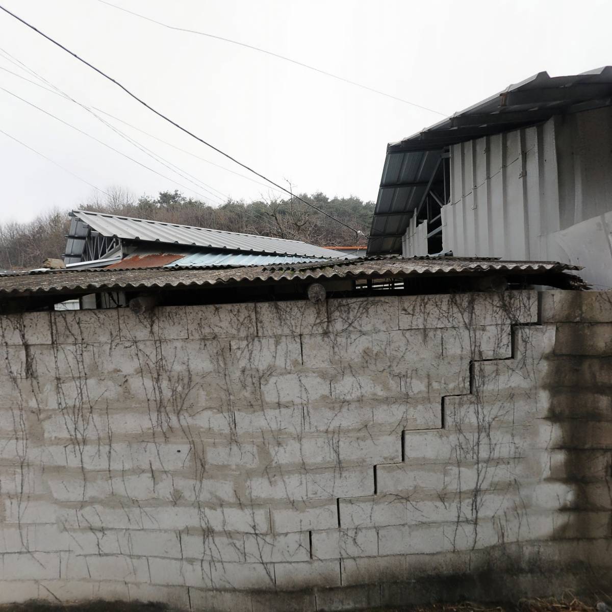 감꽃농장_3
