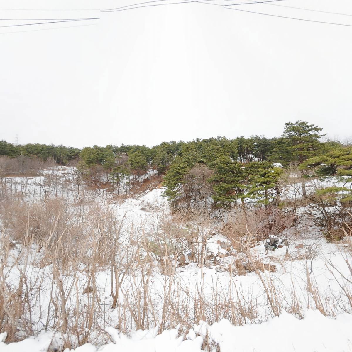 주식회사 삼척임업