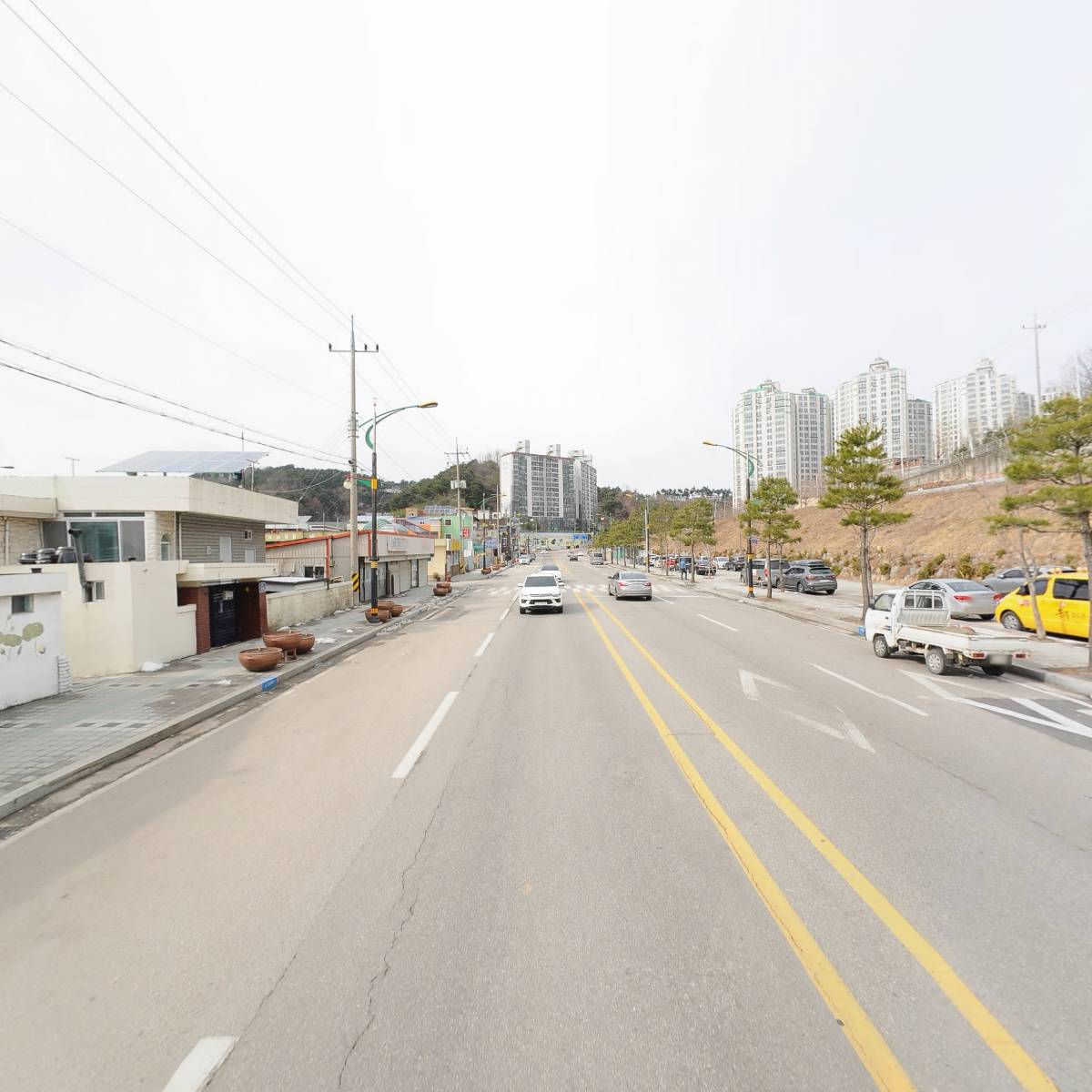 탐라흑돈_2