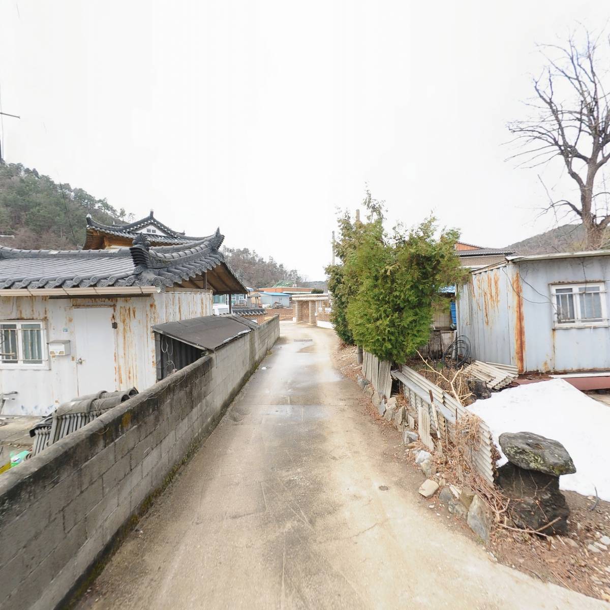 롯데제과 삼척대리점_2