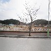 모개로유통