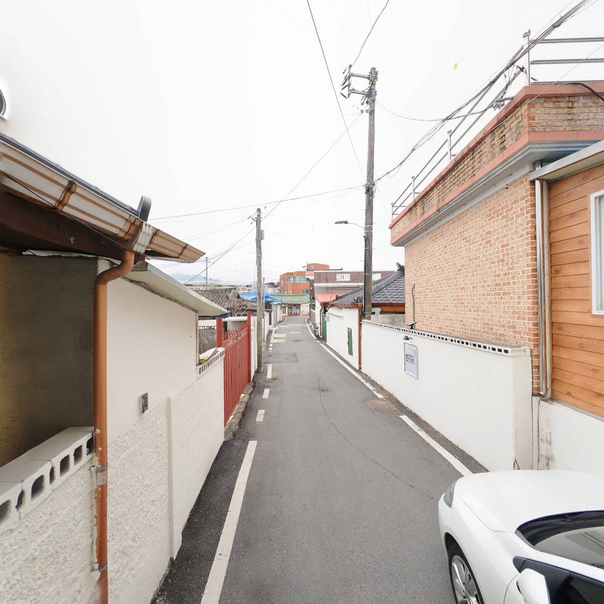 동산농원곶감_2