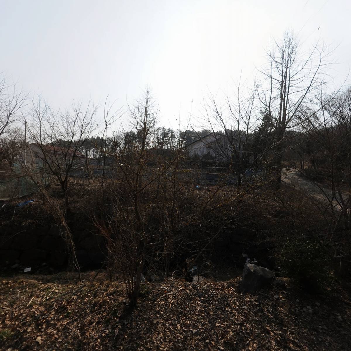 사단법인 대한불교강덕조계종_3