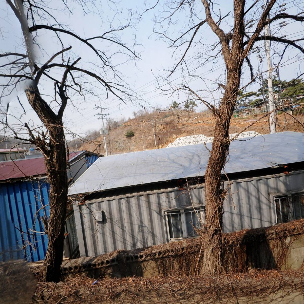 동해금강요양병원