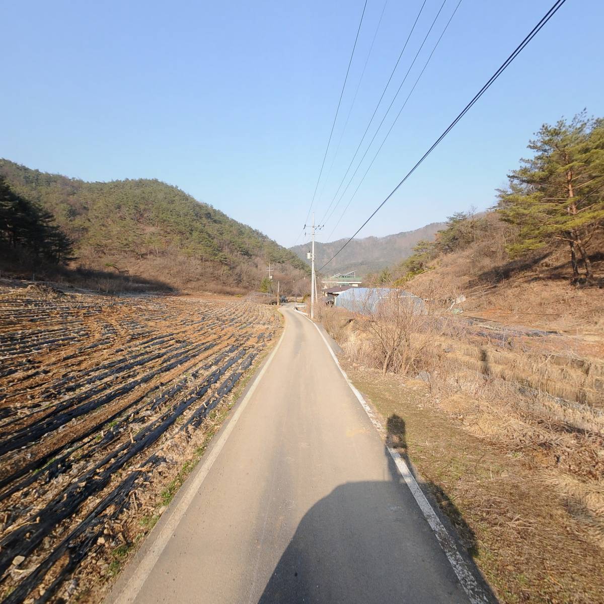 산속의친구영농조합법인_2
