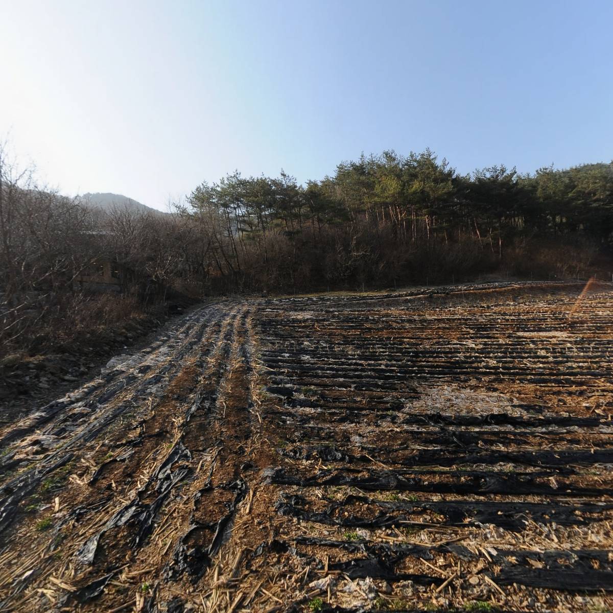 산속의친구영농조합법인