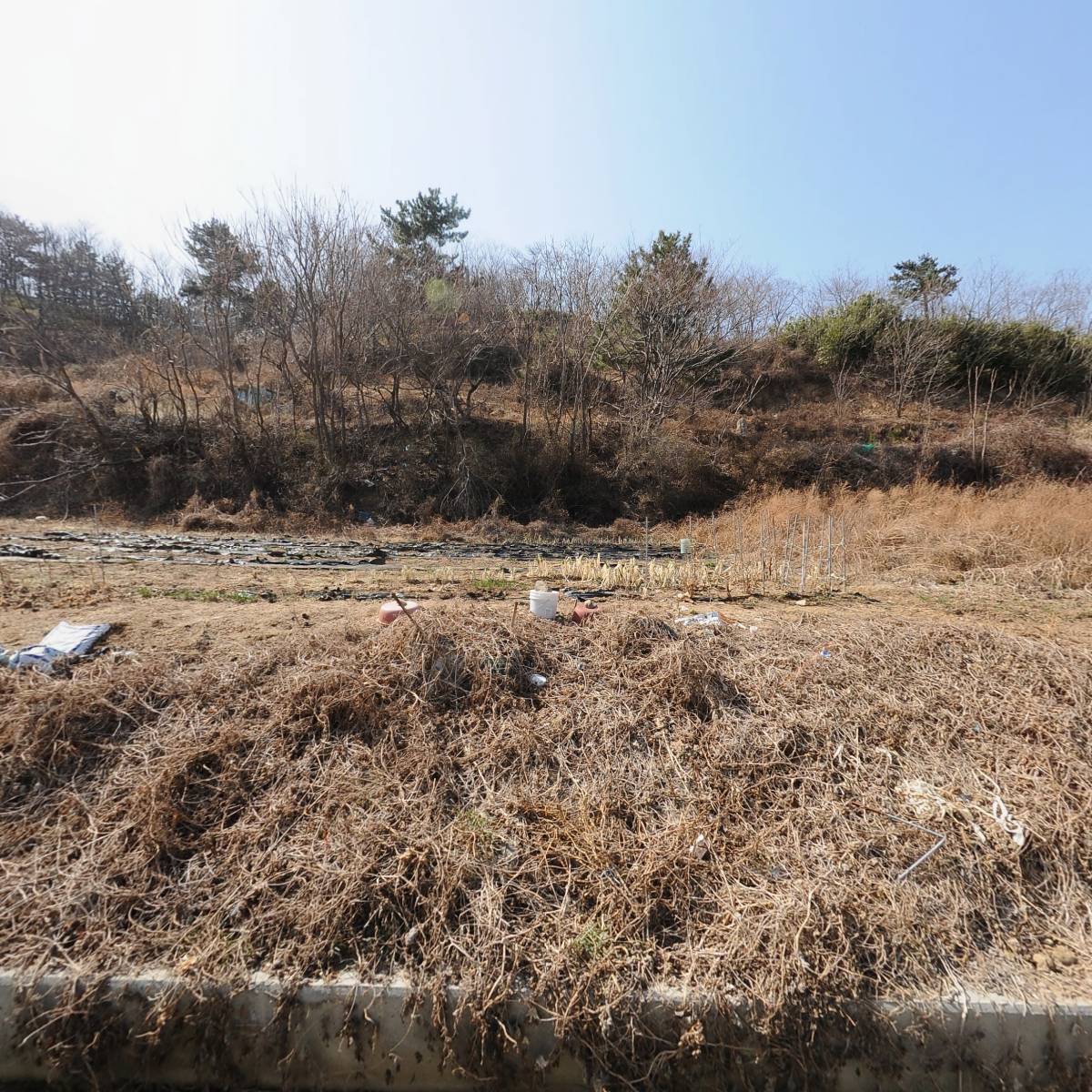 바다스케치펜션