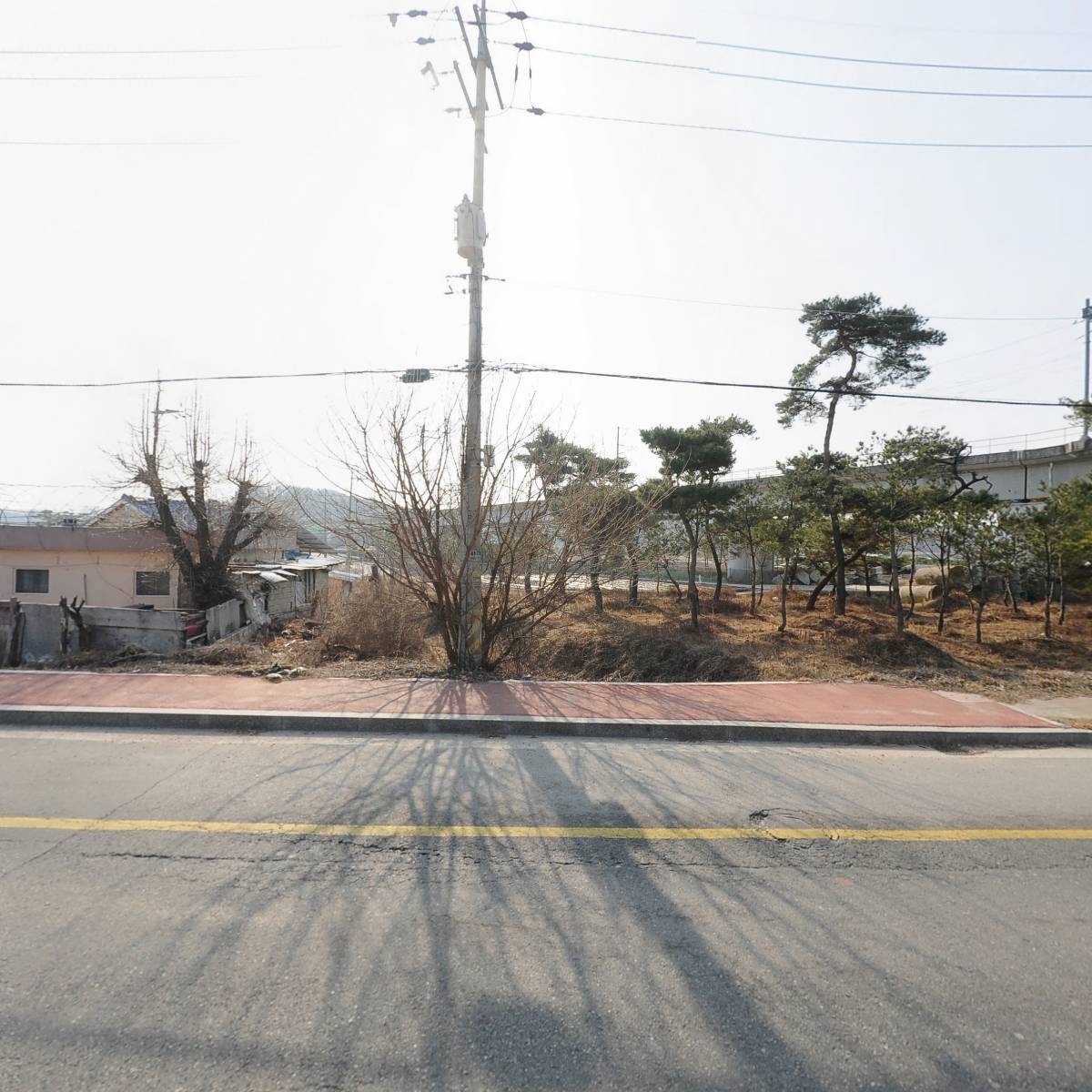 조이다육(여주점)
