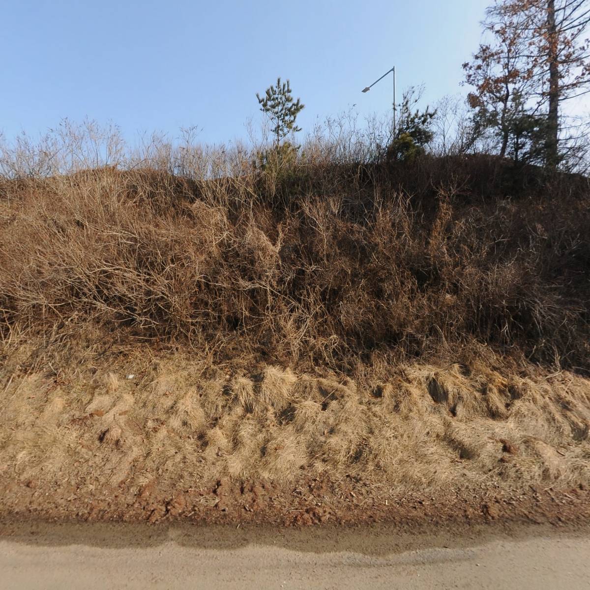 삼교리디엠/코리아레포츠/삼교리직업소개소