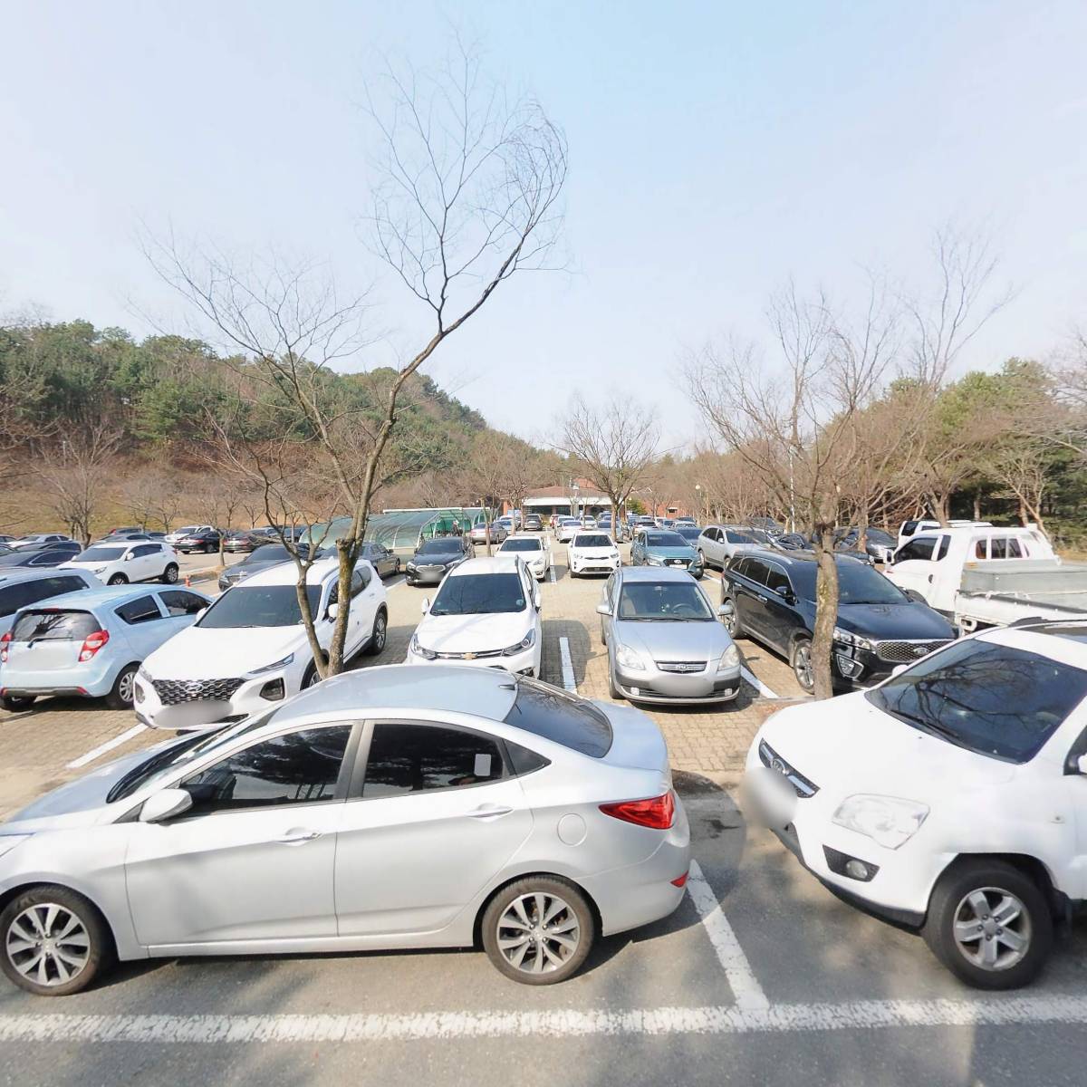 더큰식탁과소바공방대덕복지센터점
