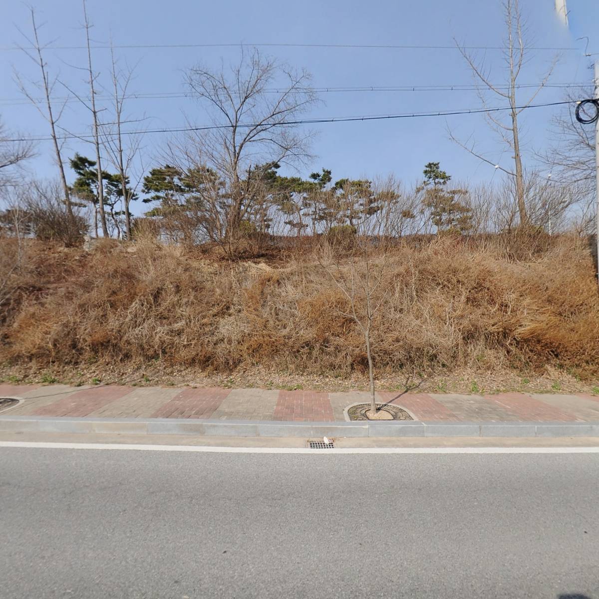 에스와이개발주식회사_3