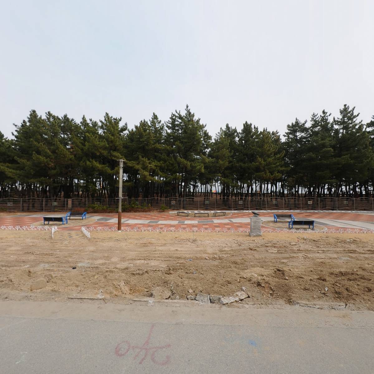 주식회사티피와이(보사노바커피로스터즈속초점)