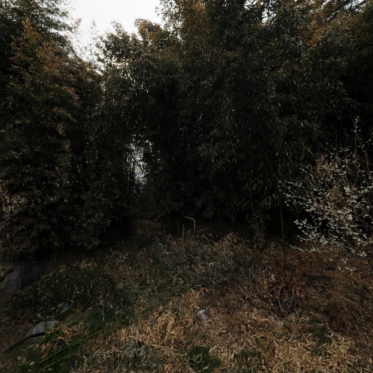 기원_3