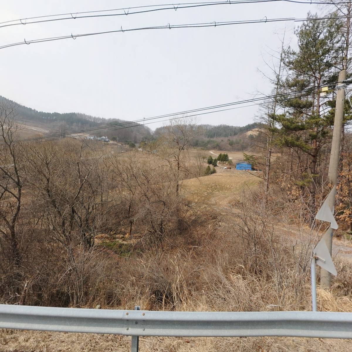 화이트 크로우 브루잉 컴퍼니