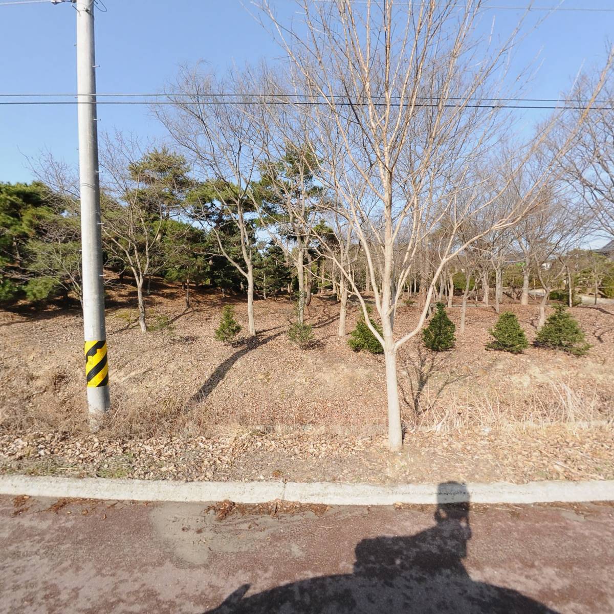 주식회사 에스엔피 (SNP Co. Ltd)