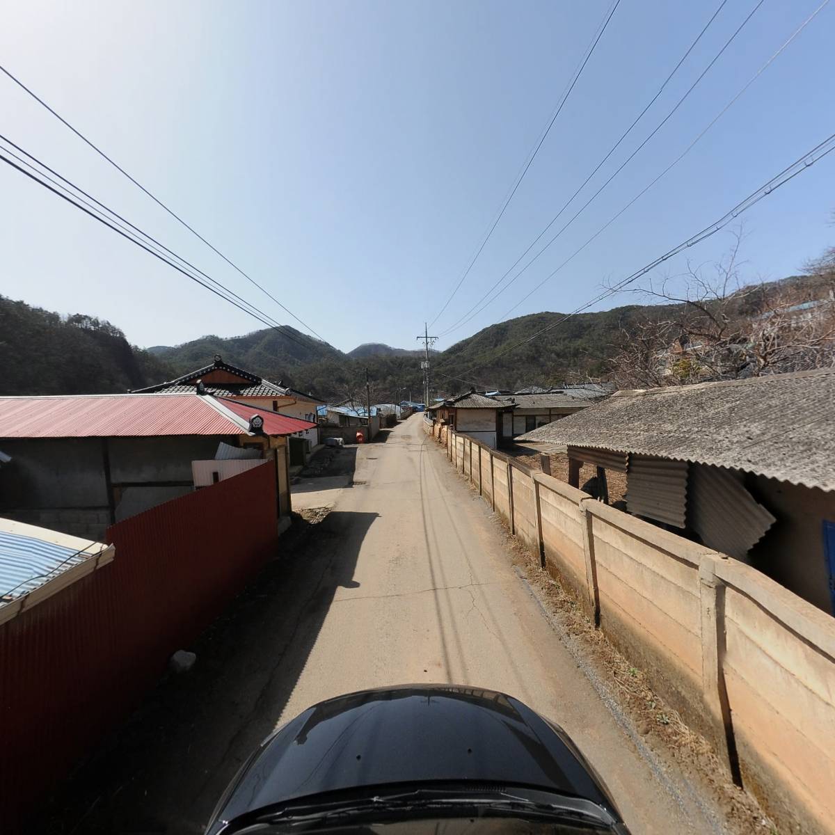 금성농장_4