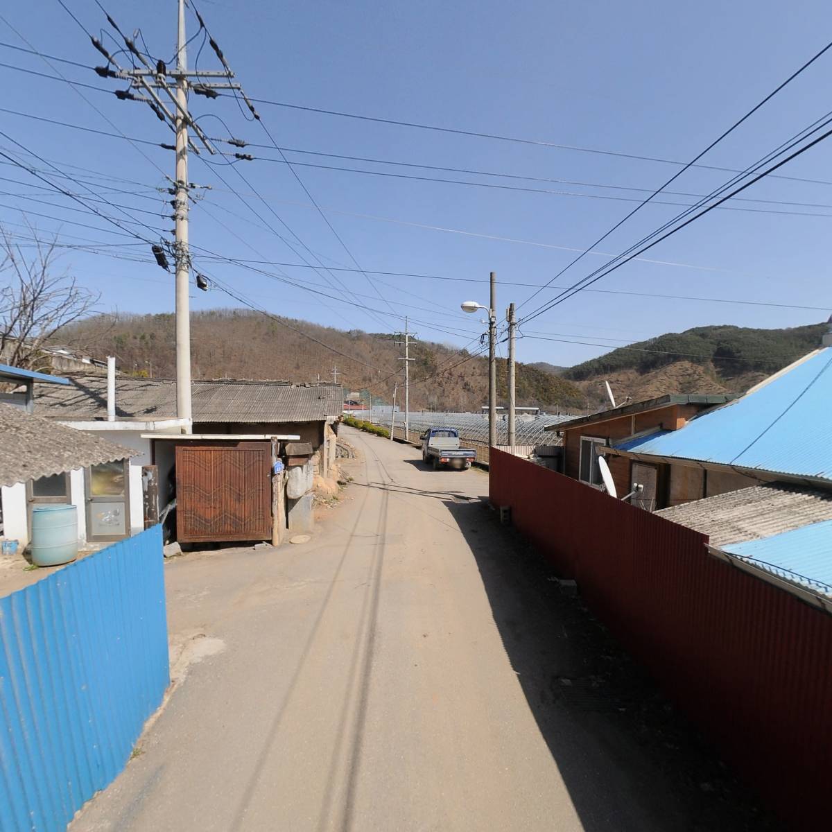 금성농장_2
