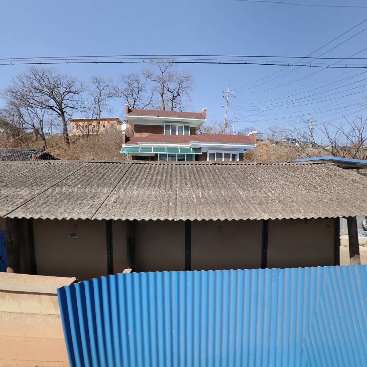 금성농장