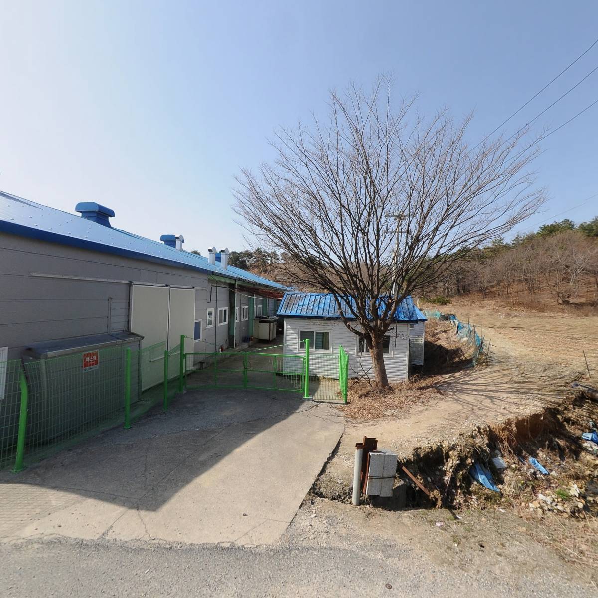 백설실업