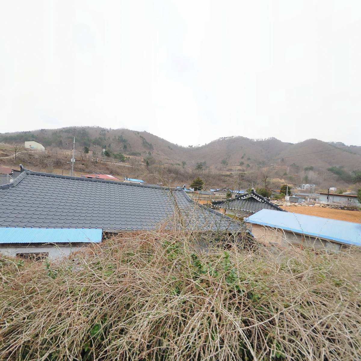 삼척시미로면번영회_3