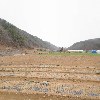 두타산농장_3