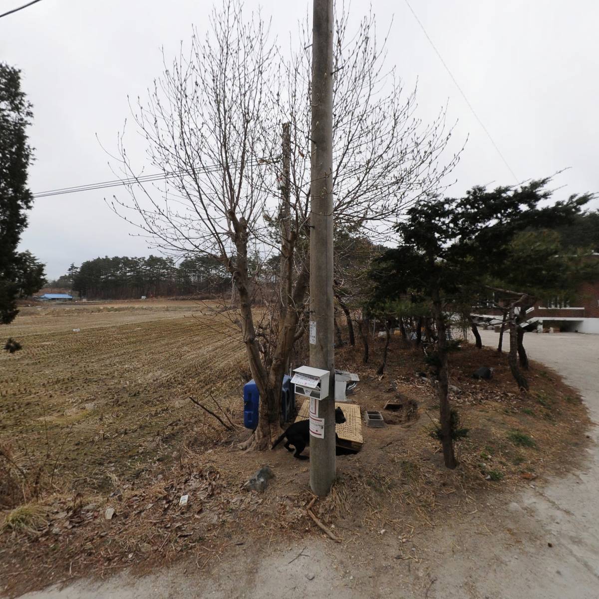 임호염소농장_3