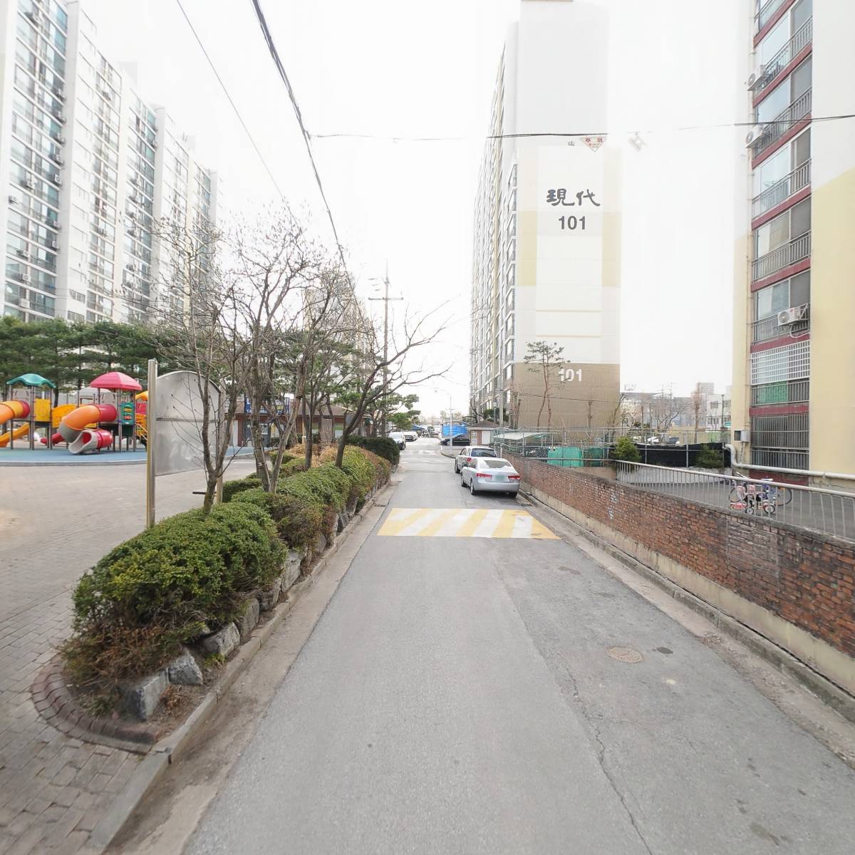 올리바인디진_2