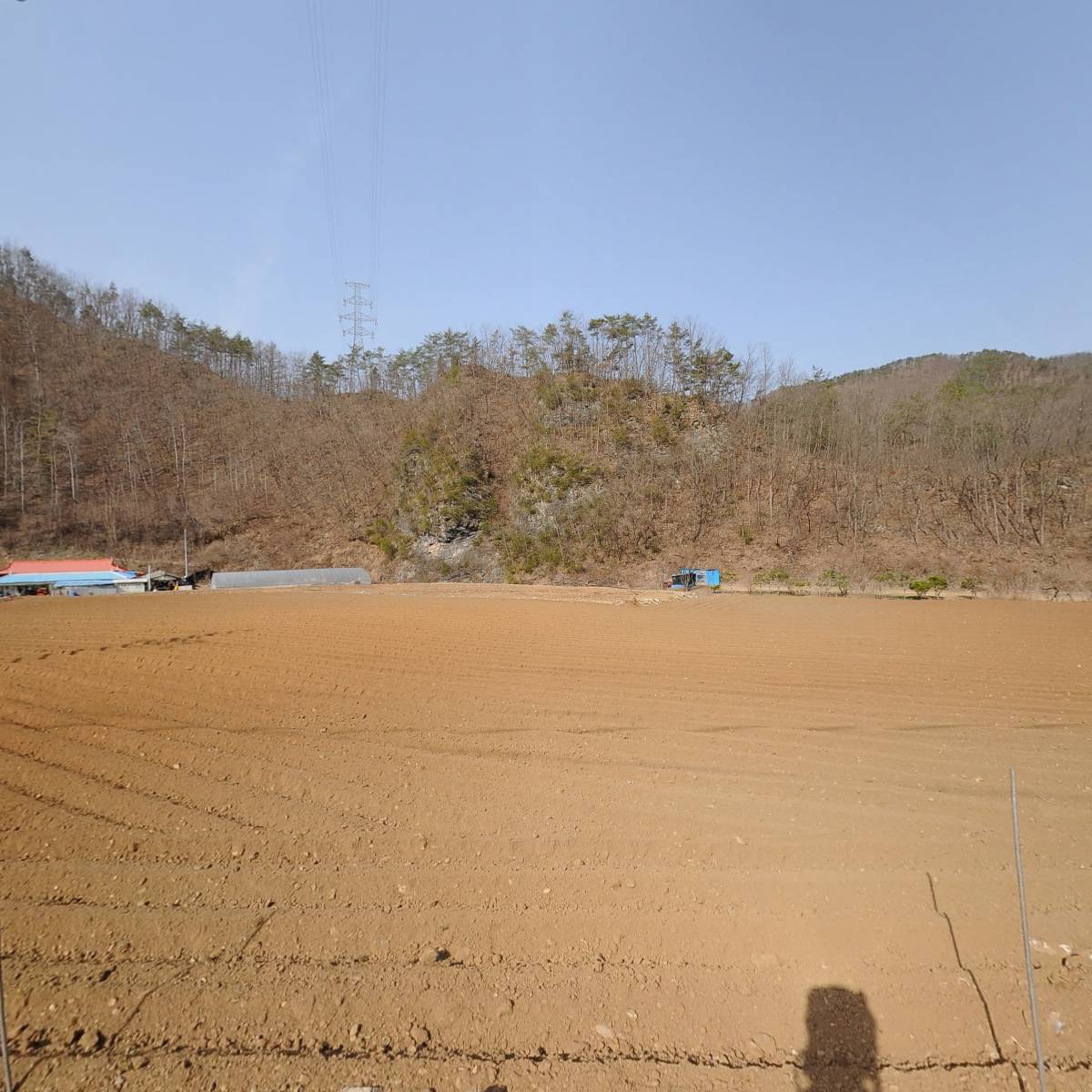 꿀찬들