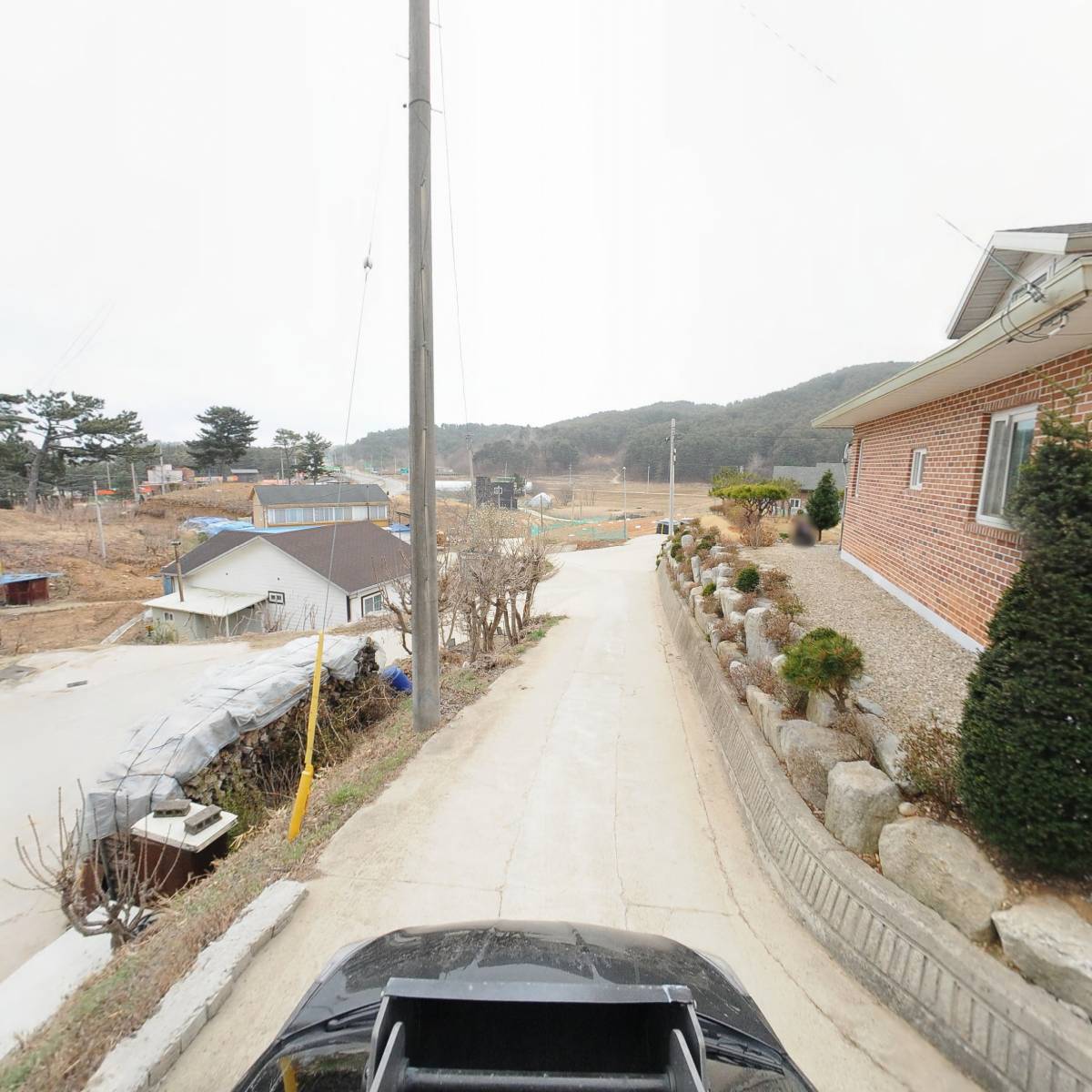양양 해풍블루베리_4