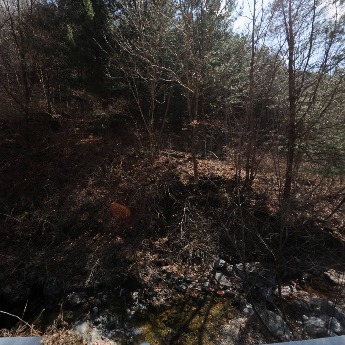 대한불교 대승종 홍련암