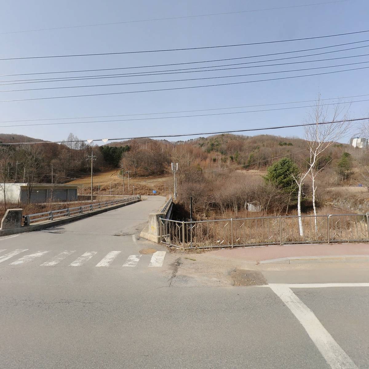 청년피자 휘닉스파크점_3