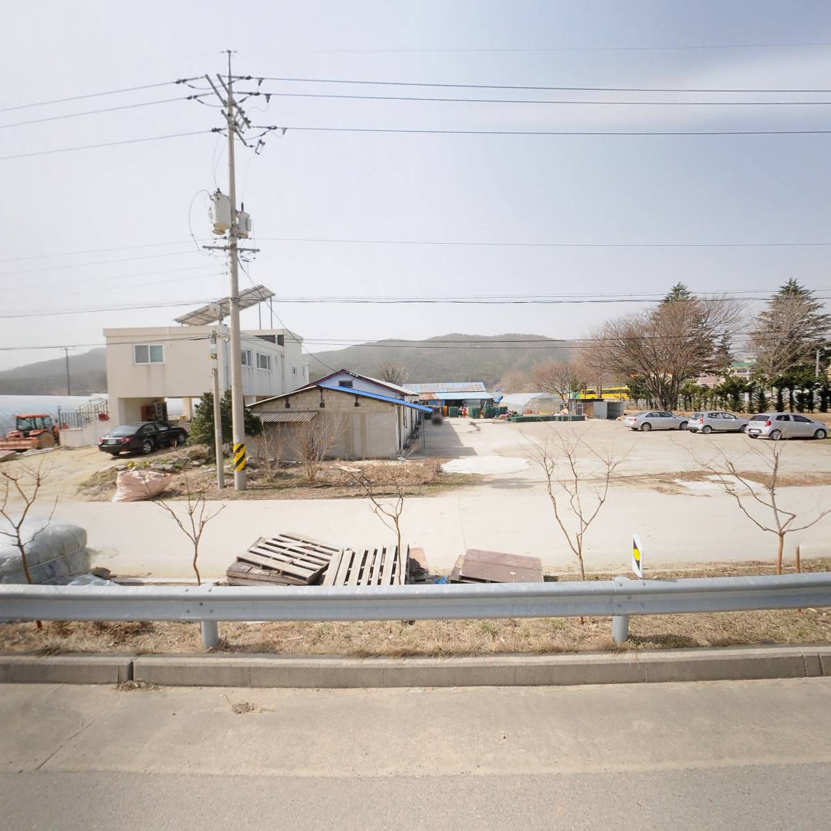 동해먹태