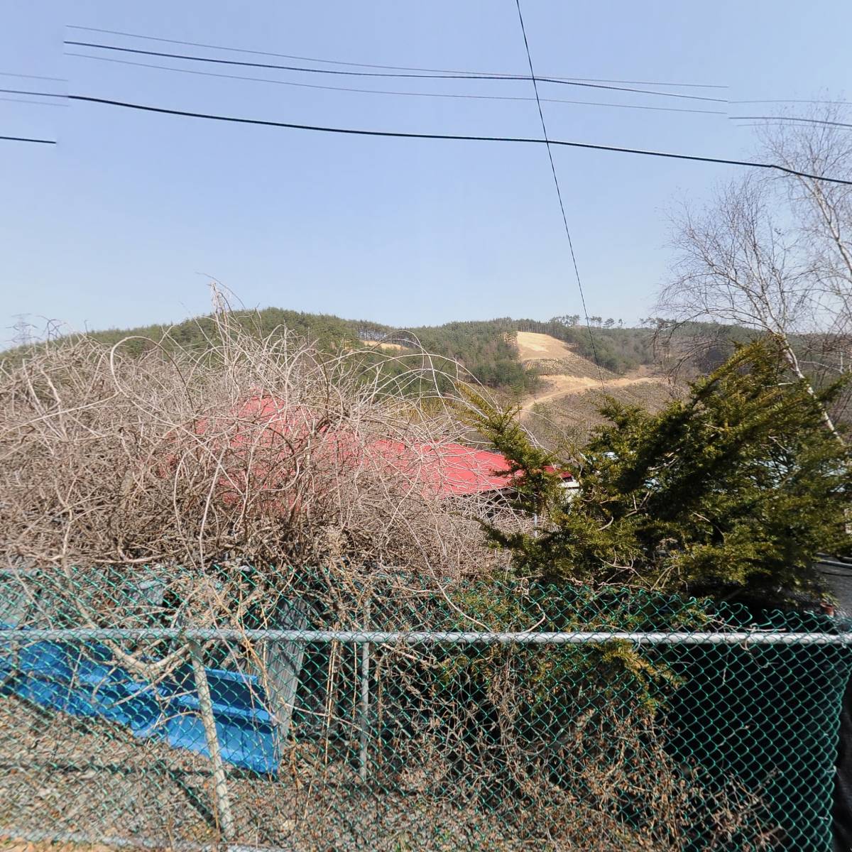 월루농원_3
