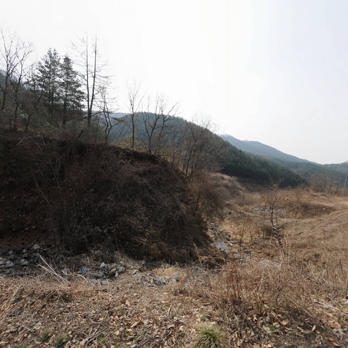 대신 건강원