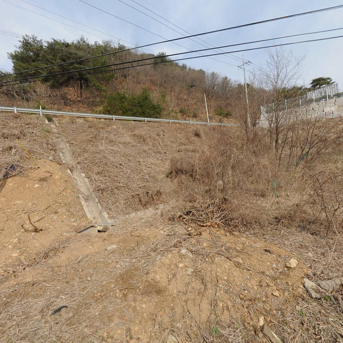 대신 건강원_3
